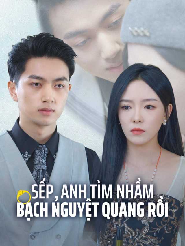 Sếp, Anh Tìm Nhầm Bạch Nguyệt Quang Rồi