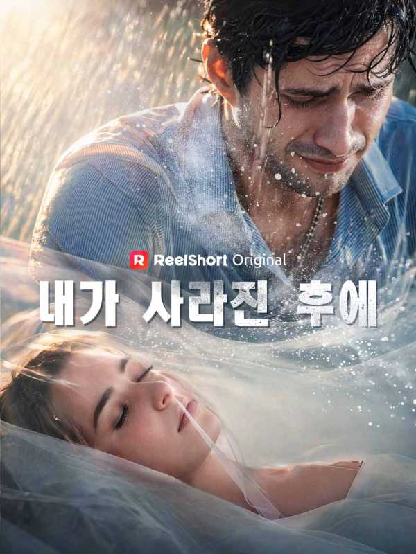 내가 사라진 후에