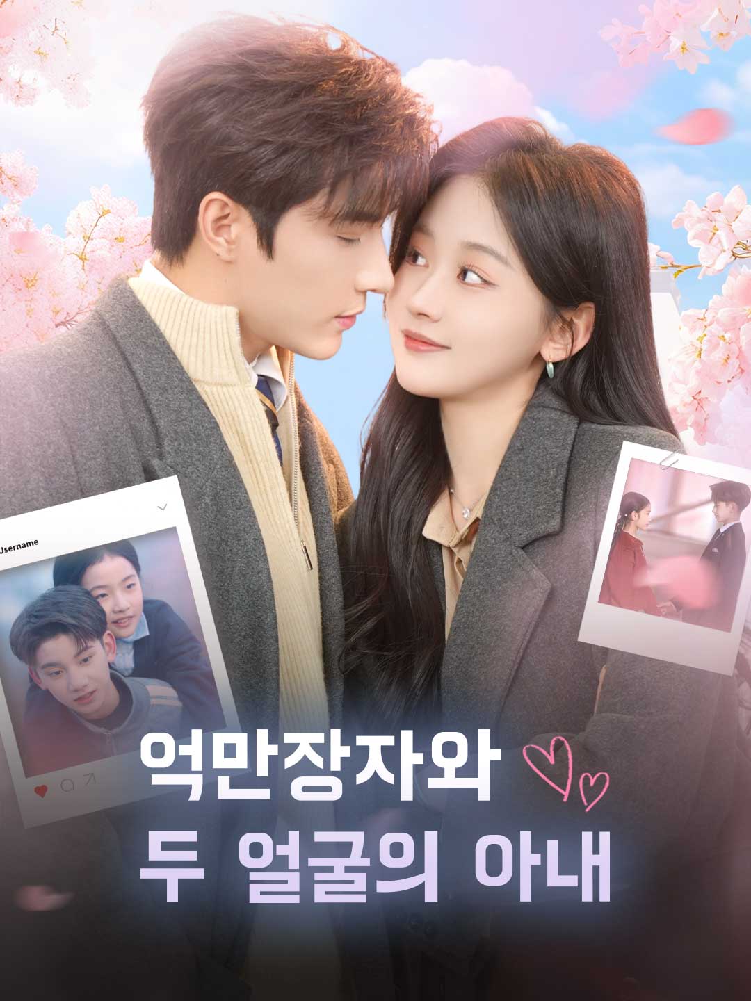 억만장자와 두 얼굴의 아내