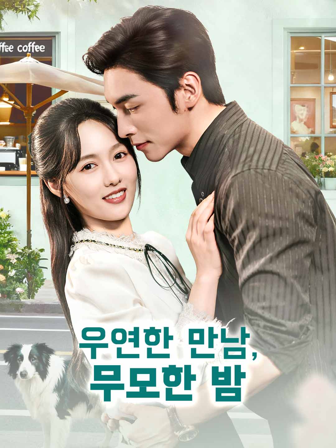 우연한 만남, 무모한 밤