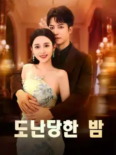 도난당한 밤