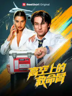 高空上的救命腎