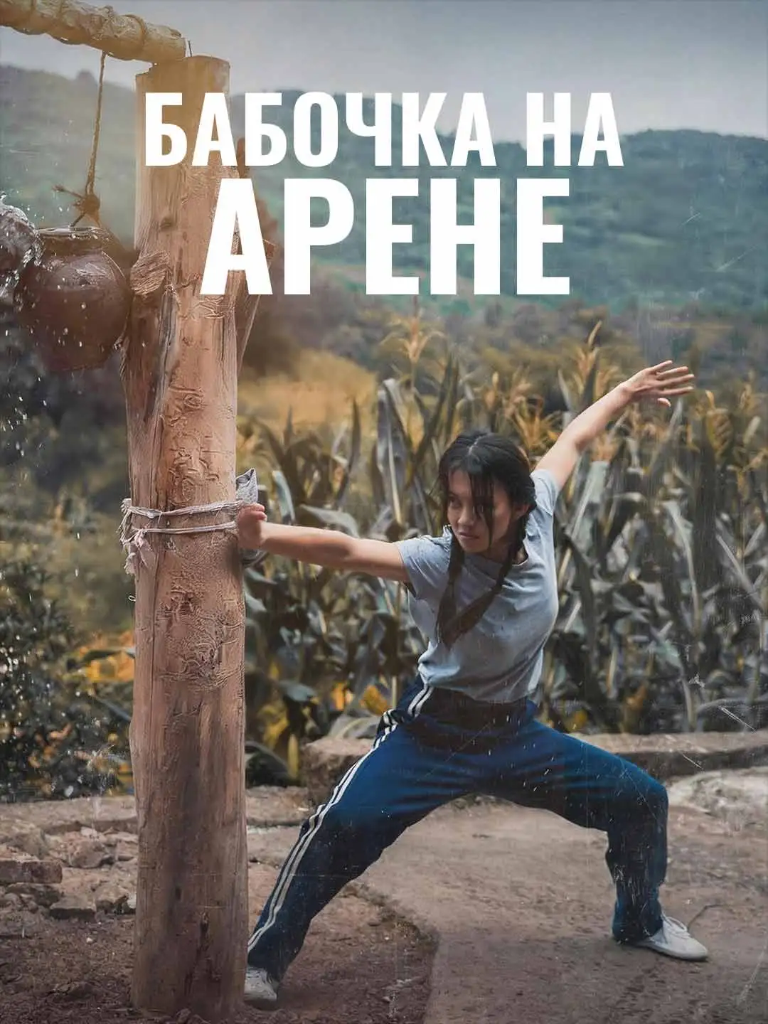 Бабочка на арене