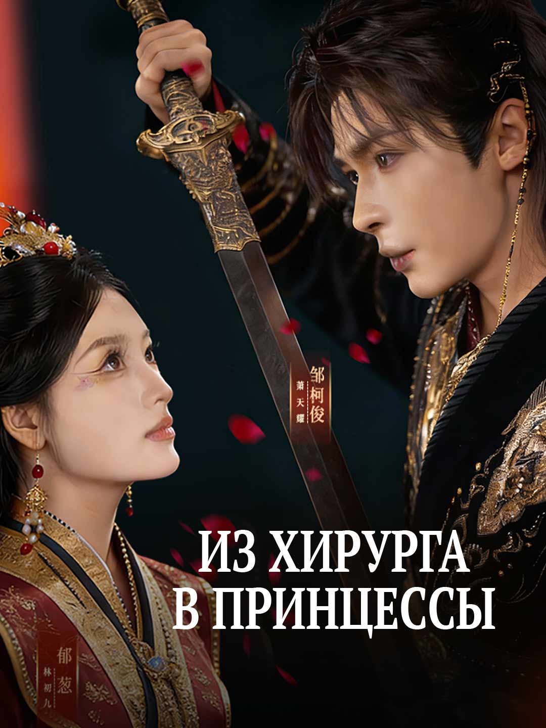 Из хирурга в принцессы cover