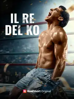 Il Re del KO