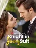 Knight in Shining Suit cover art