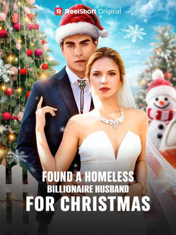 Found A Homeless Billionaire Husband for Christmas