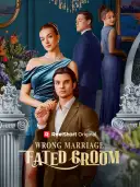 Wrong Marriage, Fated Groom cover art