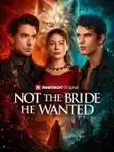Not the Bride He Wanted cover art