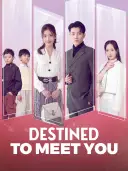Destined to Meet You cover art