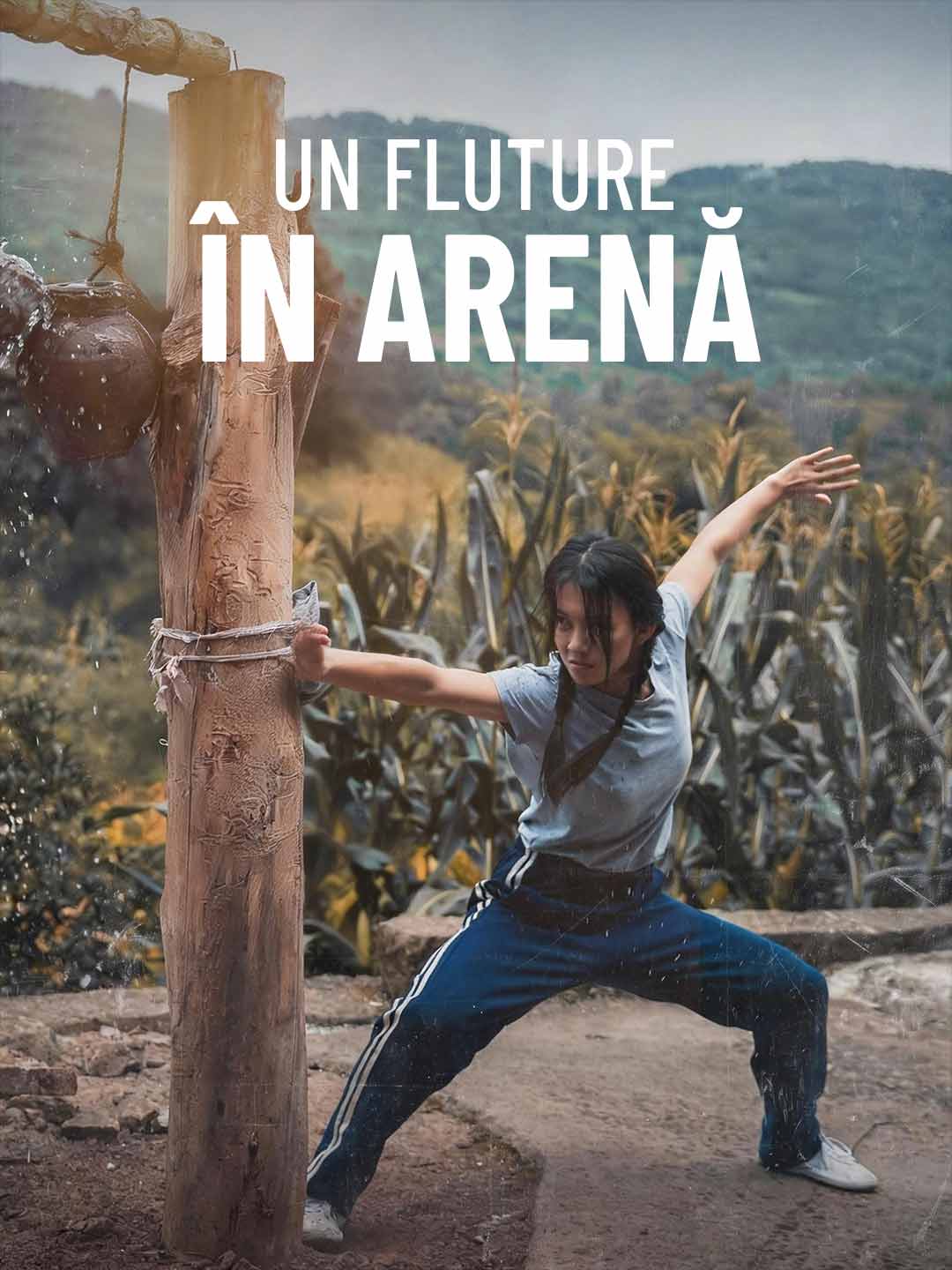 Un Fluture în Arenă