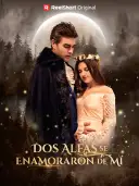 Dos Alfas Se Enamoraron de Mí cover art