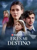 Eres mi destino cover art