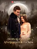 Dois Alfas Estão Apaixonados por Mim cover art
