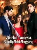 Setelah Amnesia, Suamiku Malah Mengejarku cover art