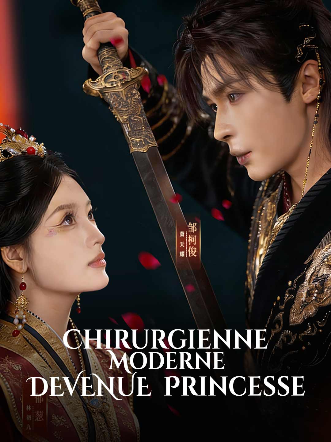 Chirurgienne Moderne Devenue Princesse