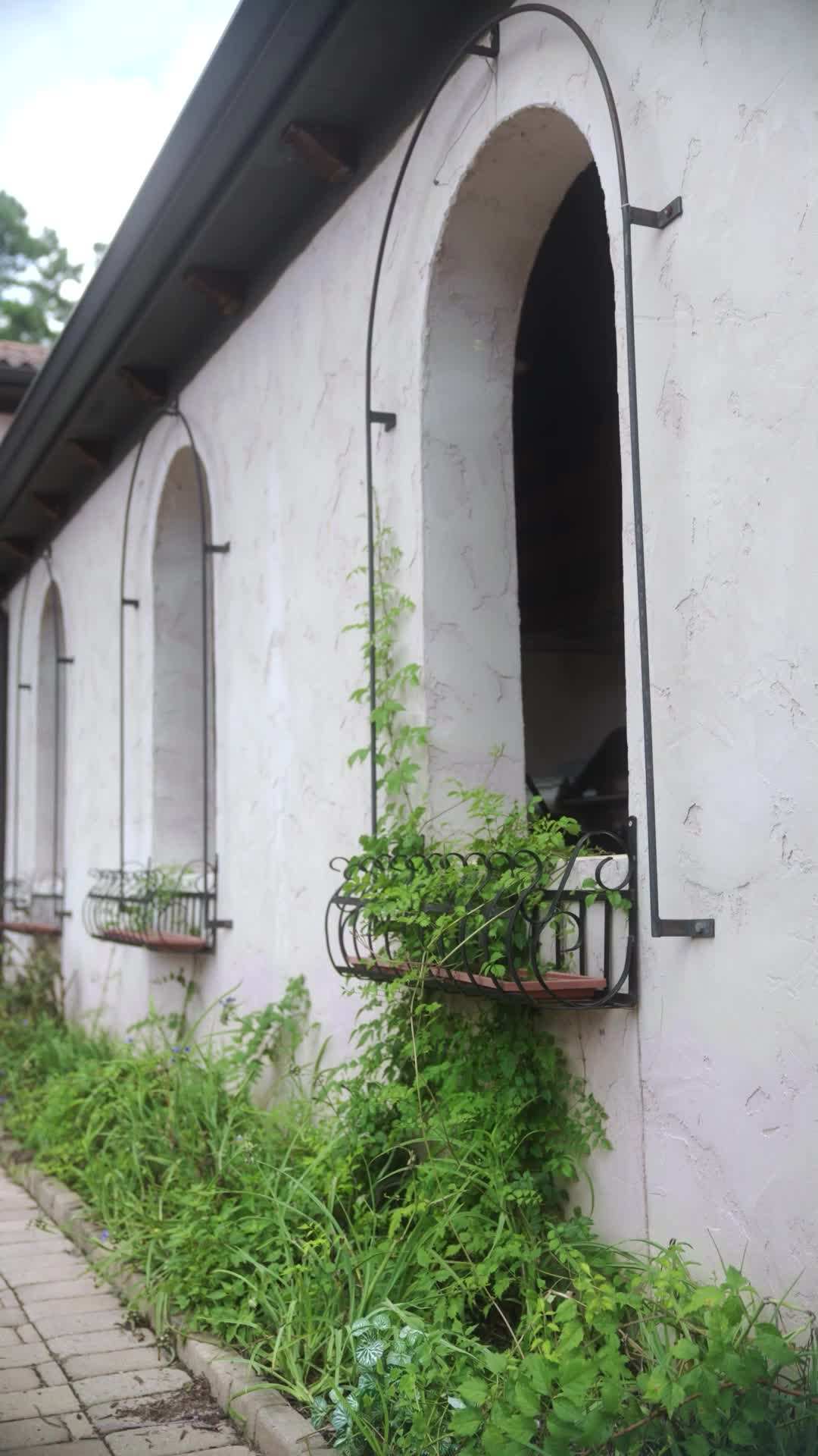 Episódio 51 - Obrigado pela Honra: Seqüestrado pelo Rei da Máfia