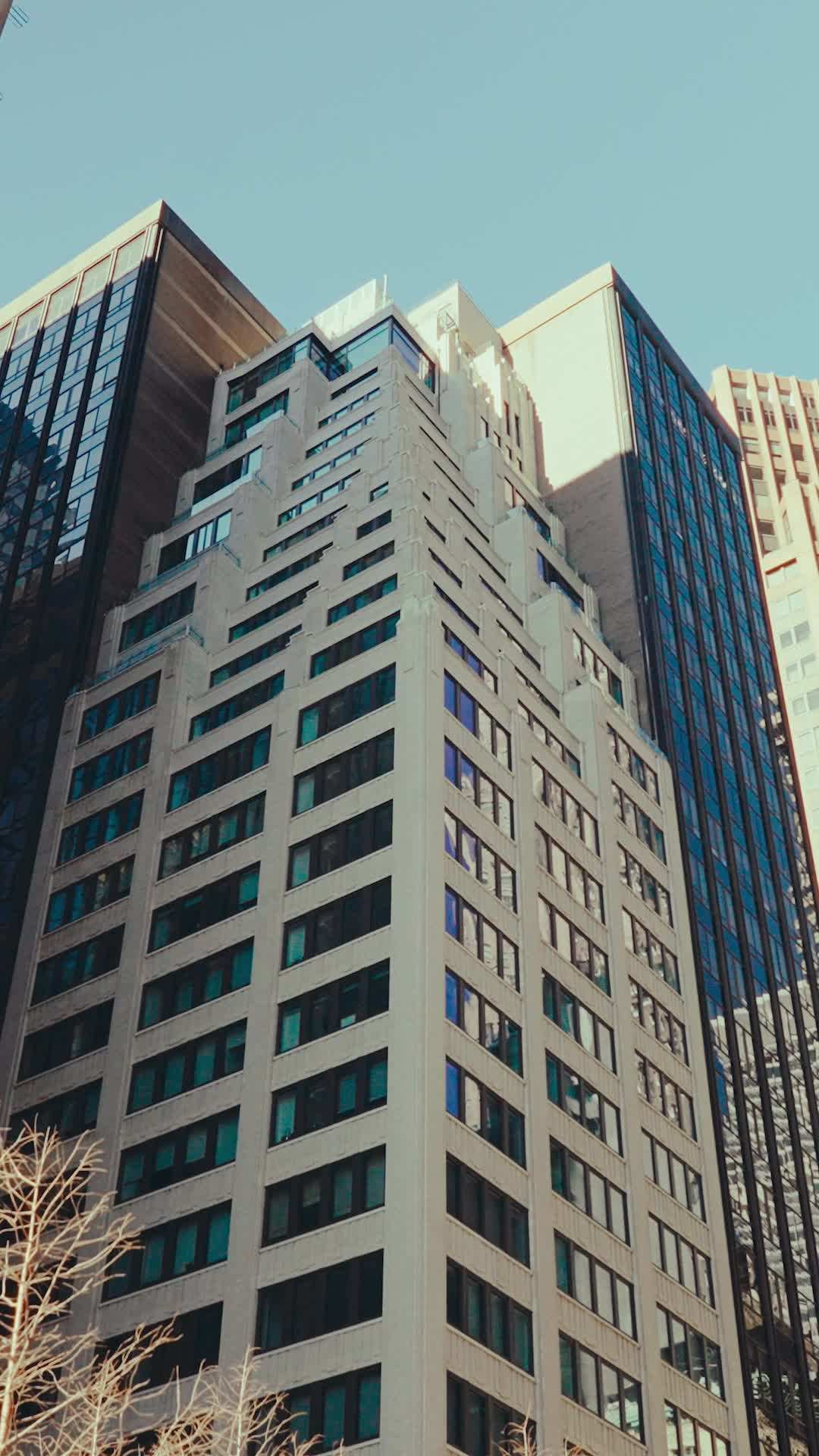 Episódio 7 - Todas as razões erradas