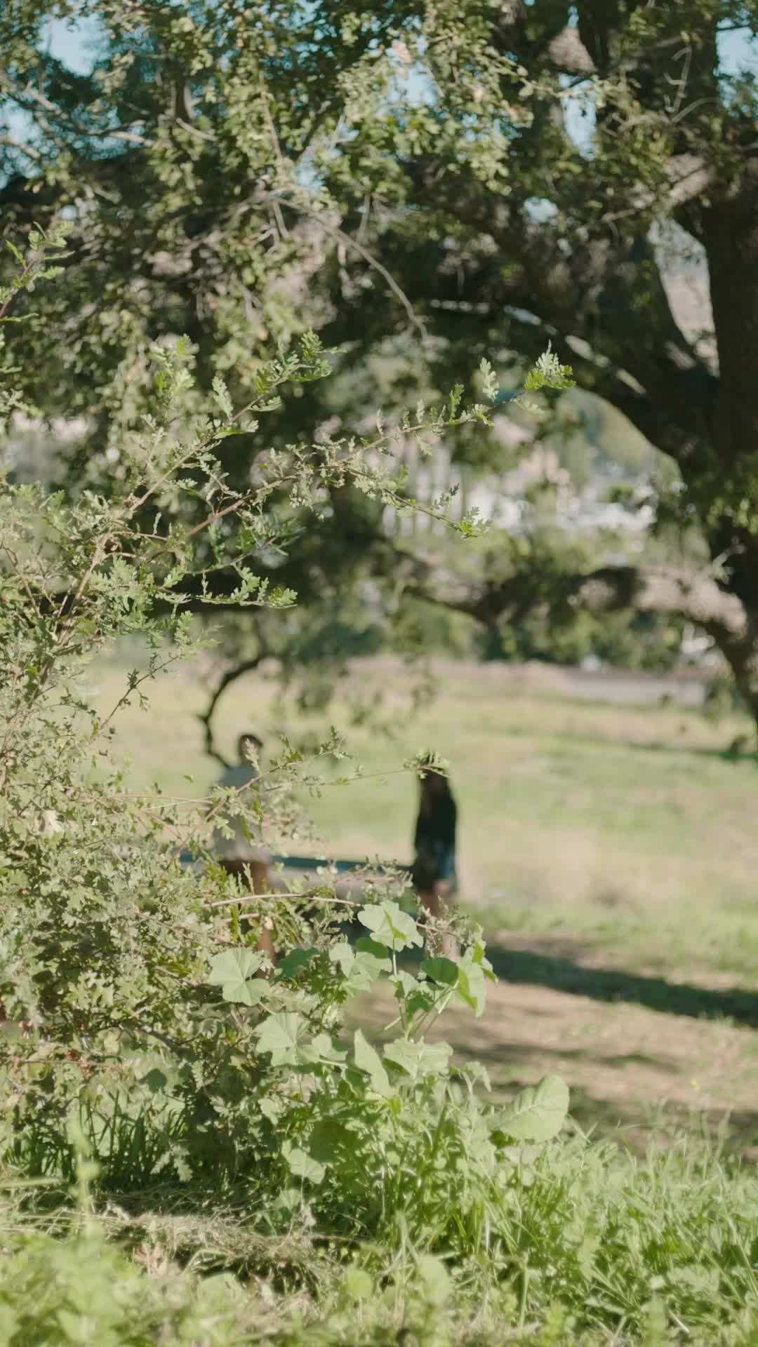 Episódio 25 - Me ame, me morda