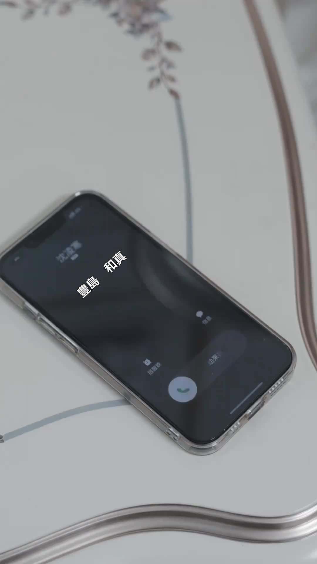 エピソード42 - CEO、 奥さんが いなくなりました