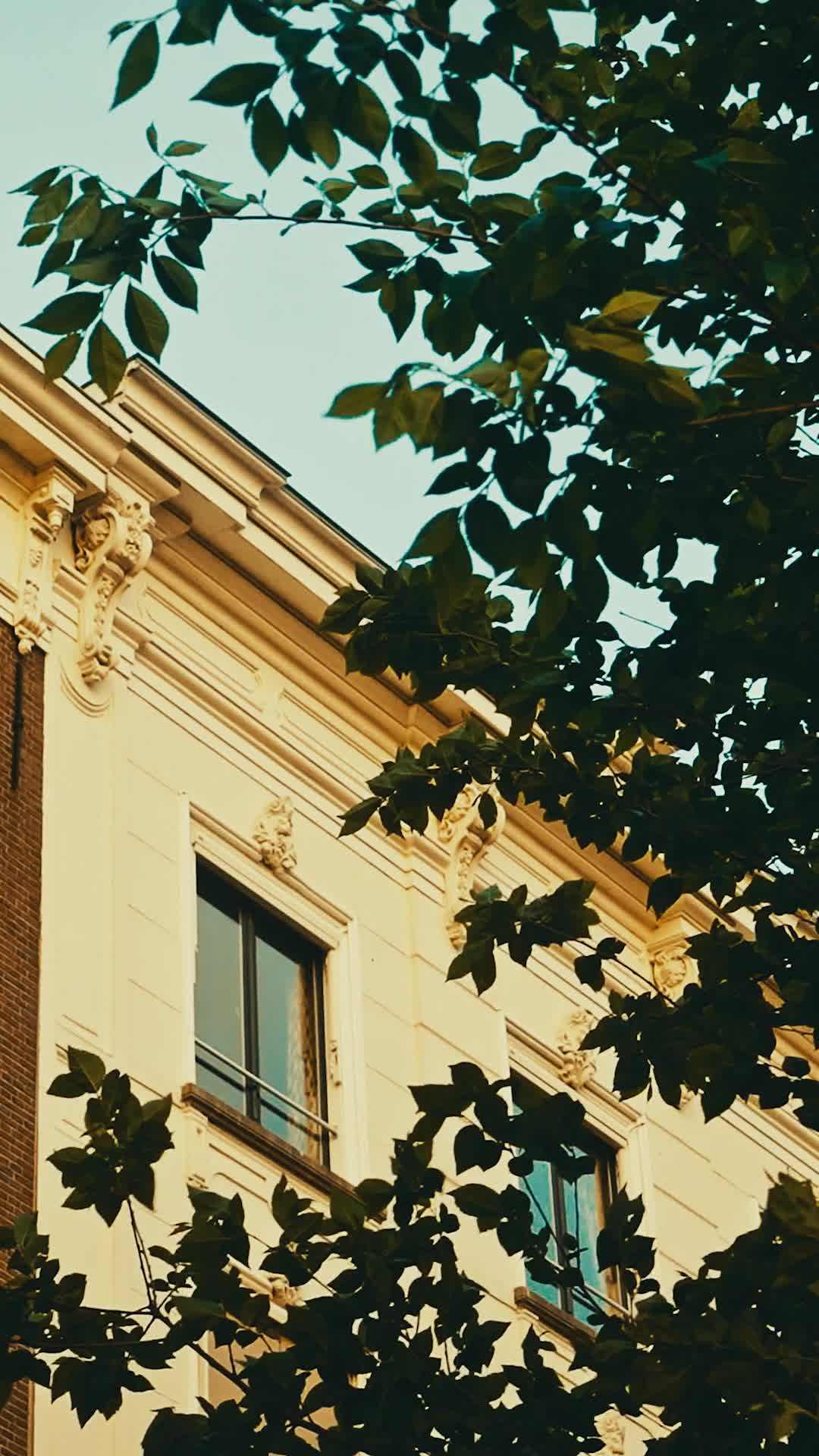 에피소드 63 - 그의 세쌍둥이를 임신하고 아내까지 되었다