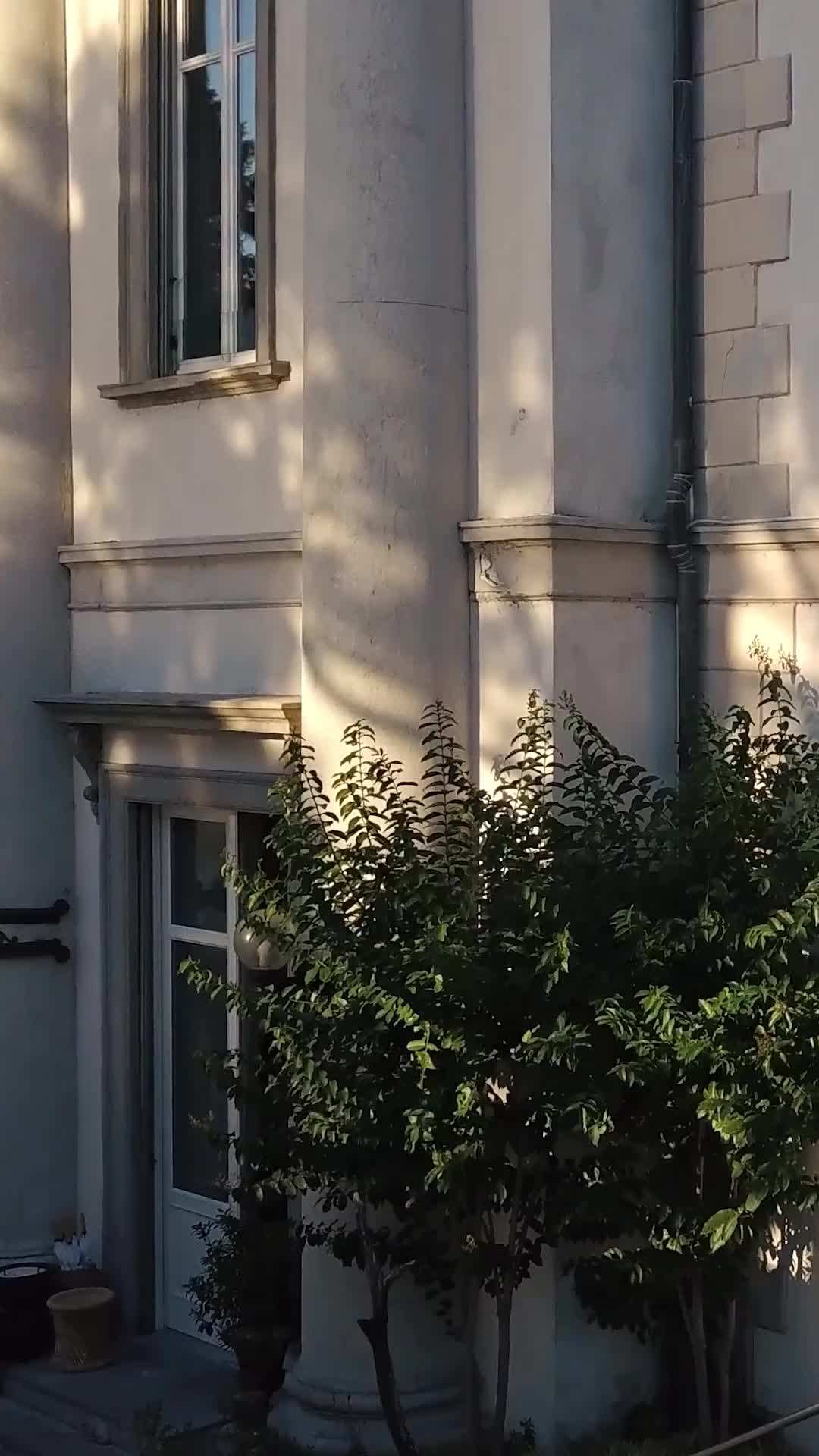 Episodul 51 - Dulcea mea nevastă sălbatică