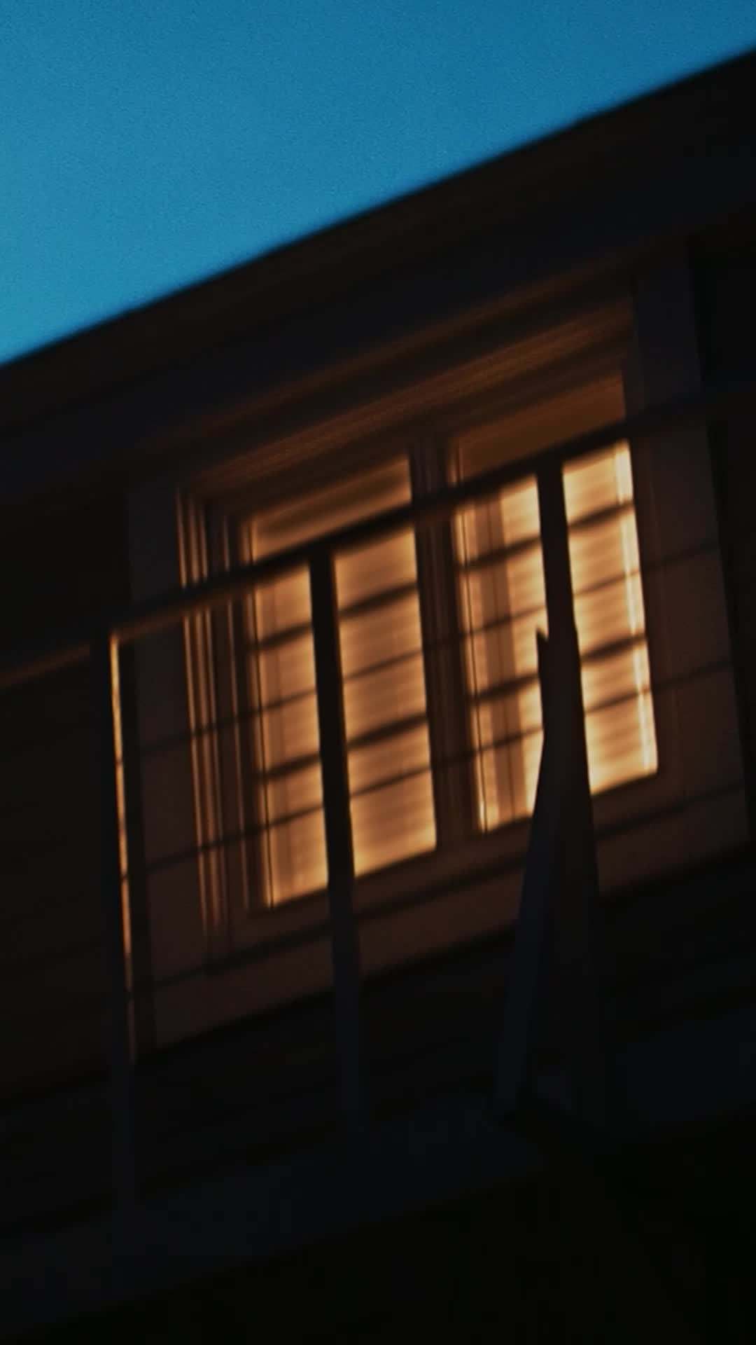 Episódio 47 - Papai implacável da máfia