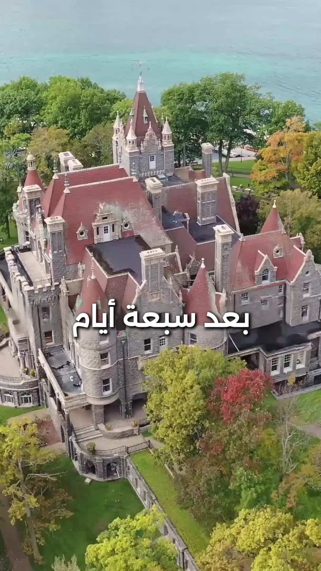 الحلقة 18 - بديلة زعيمة المافيا