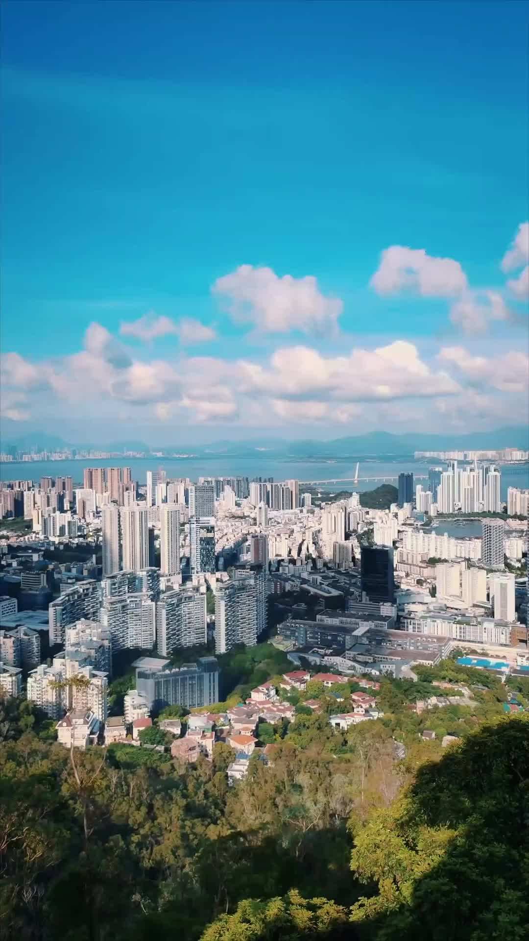 에피소드 12 - 전 세계가 주목한 이혼