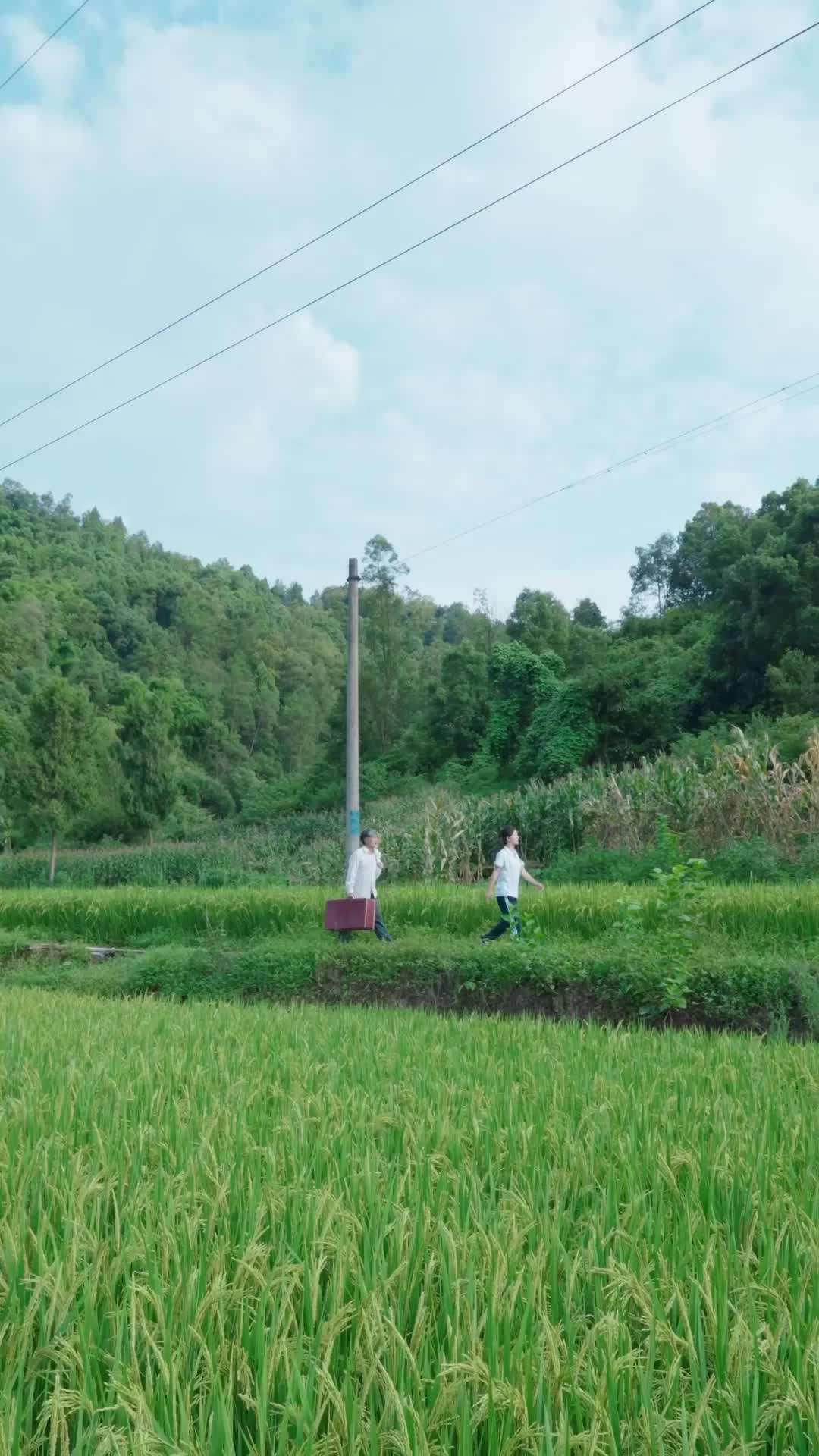 에피소드 44 - 경기장의 나비